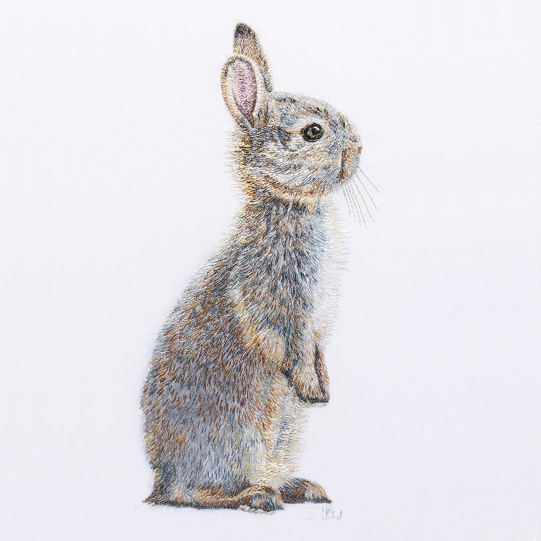 SusannahWeiland's tweet photo. I am excited to launch my new website with my first range of Limited Edition Prints of my hand embroidery, alongside prints of my drawings and photography.
#limitededitionprints #londonartist https://t.co/nIDtzI0pqe