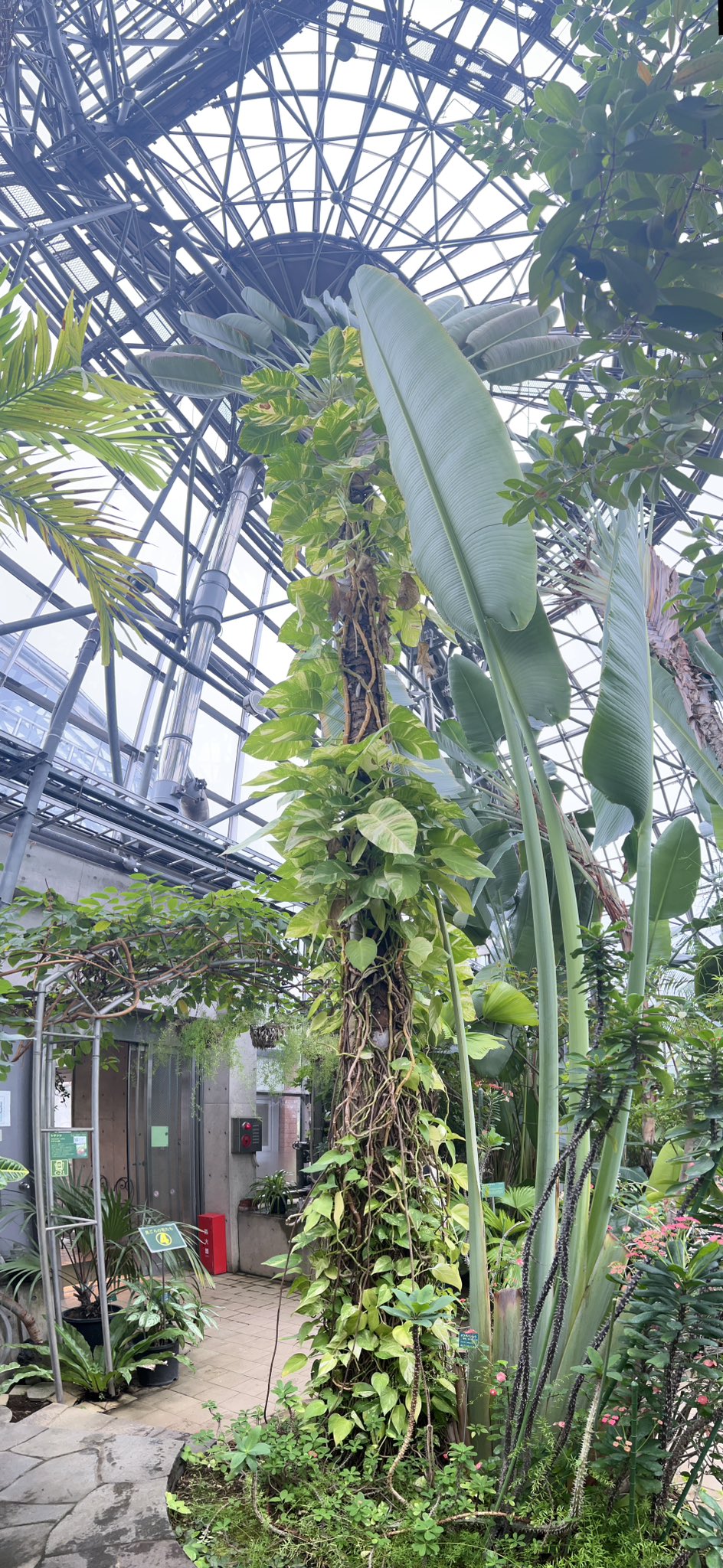 東京都 夢の島熱帯植物館 公式サイト