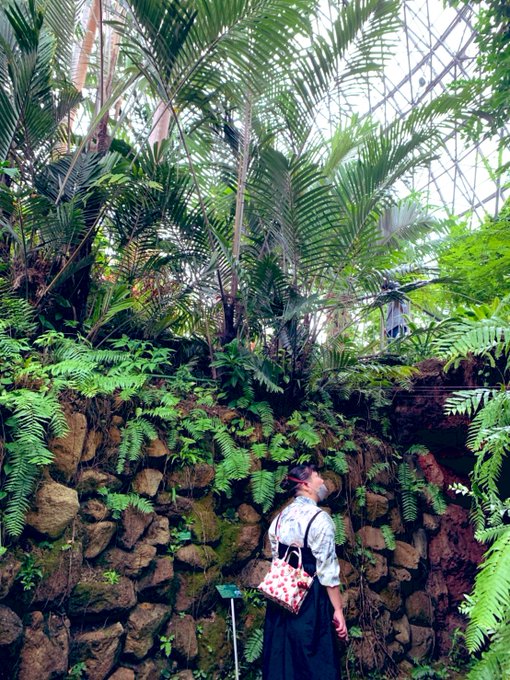 東京都 夢の島熱帯植物館 公式サイト