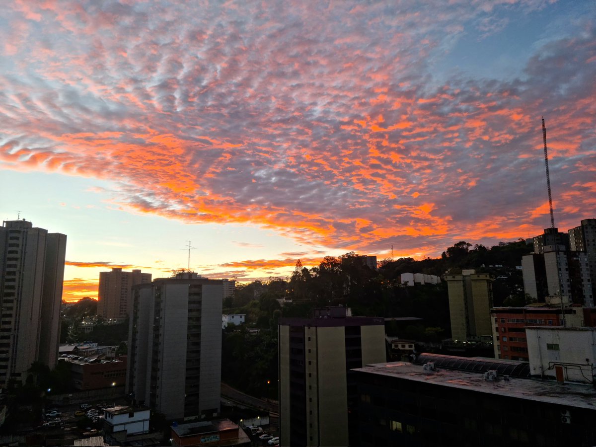 Feliz viernes!