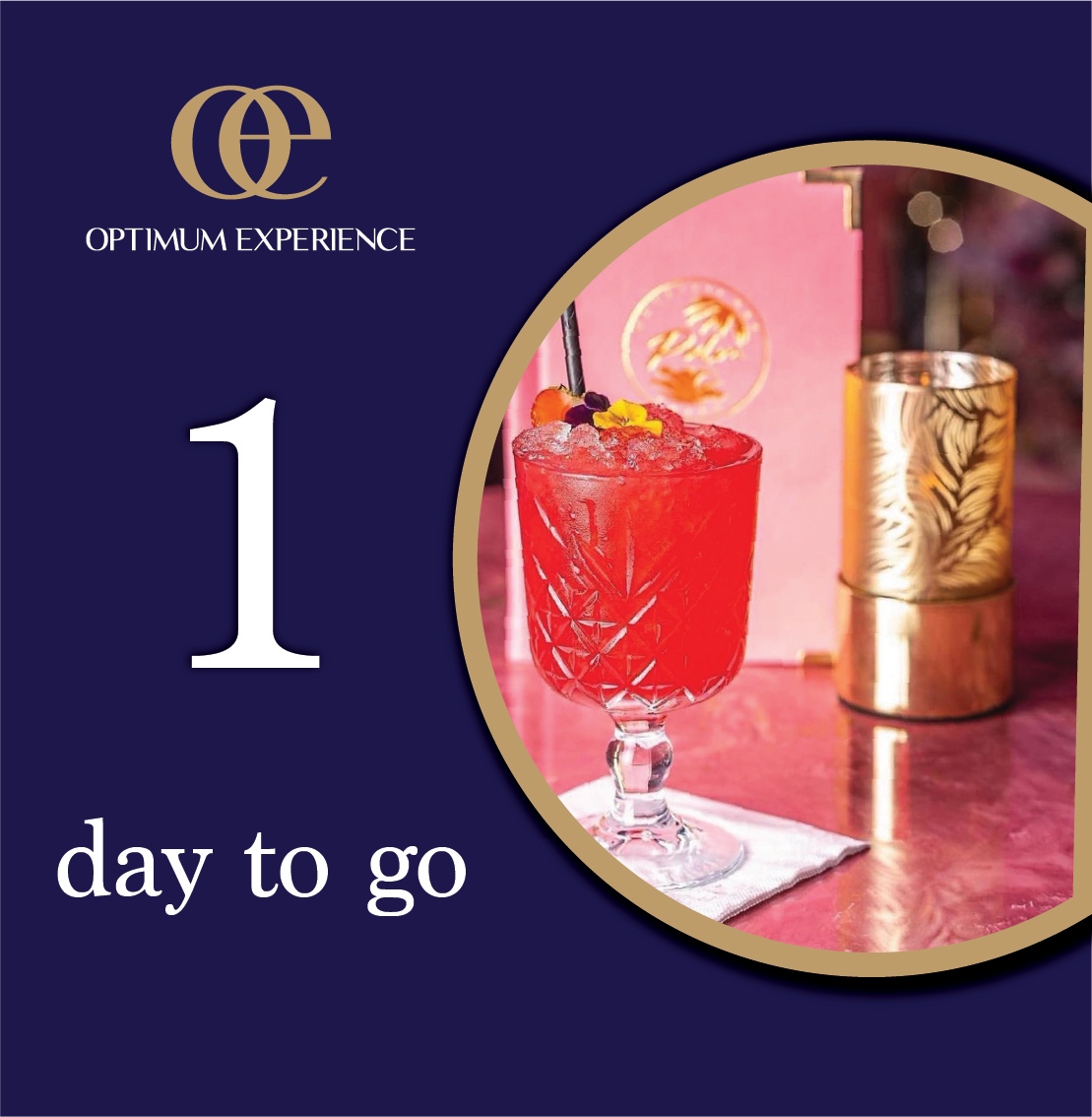 OptExperience's tweet image. There’s 1 day to go before it’s
the Chester Races Season Finale,
sponsored by The Boulton Group 🏇

Get in touch to learn more about
what a VIP experience is, what we do
and reserve your spot 🍸️

📞 020 3962 4212
OR
📧 hello@optimum-experience.com

#VIPAfterparty