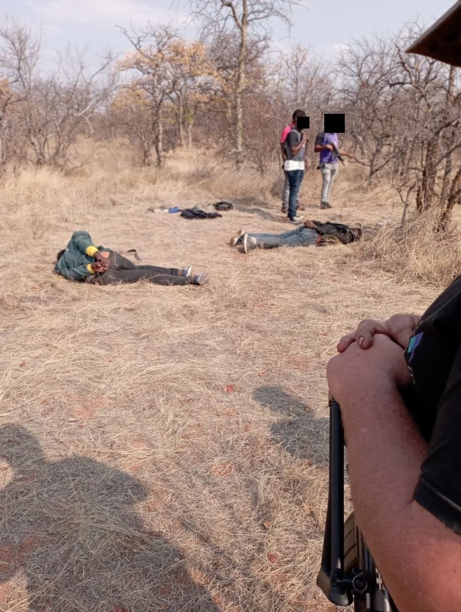 live7_news's tweet image. Afriforum neighbourhood watch in Musina ( Limpopo Province) together with SAPS assisted in the arrest of 5 farm attackers ,one is on the run. 3 firearms were recovered including an R5 rifle

Suspects confirmed to be Zimbabweans who was once an employee at a farm
#FlyingNews🦅