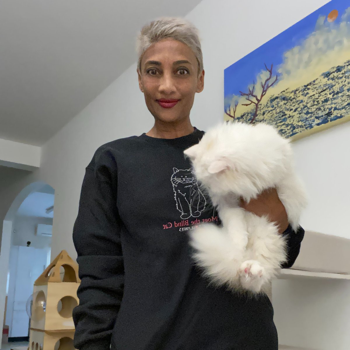 MoetBlindCat's tweet photo. Happy Friyay! 
Me and that mum showing off a beautiful sweatshirt she got with me on it.
How's your day going?

#cats #CatsOfTwitter #fridaymorning #merch https://t.co/nPLO6Fmpxk