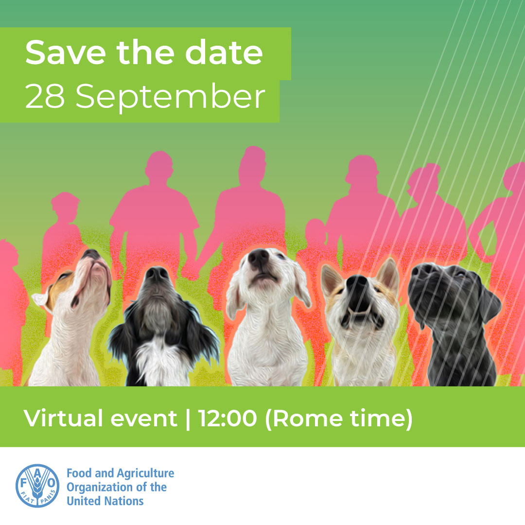 Celebrate World #Rabies Day with us!

<a href="/FAO/">Food and Agriculture Organization</a> is organizing an event bringing partners all over the world to learn about #OneHealth rabies control &amp; prevention activities happening at global, regional &amp; country levels. #WRD2022

📅 Register here: bit.ly/3SpFOGh