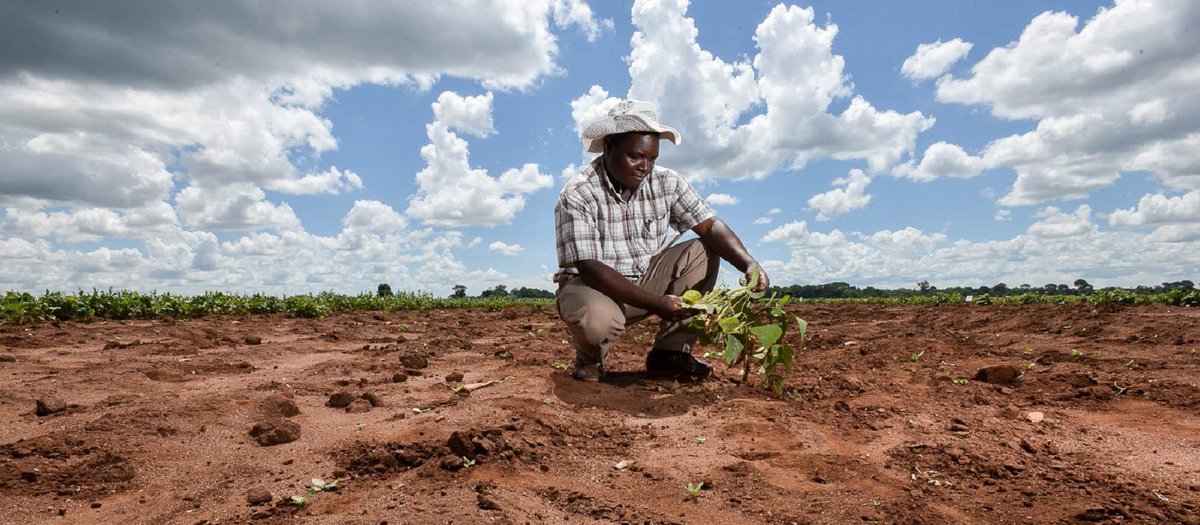 benchmag237's tweet photo. Developing countries across the world especially Cameroon are demanding that compensation for damage caused by global warming be high on the agenda of the UN World Climate Conference COP27.#COP27 #Cameroon https://t.co/FrnvzPwj2L
