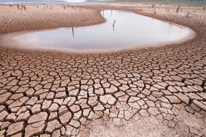 benchmag237's tweet photo. Developing countries across the world especially Cameroon are demanding that compensation for damage caused by global warming be high on the agenda of the UN World Climate Conference COP27.#COP27 #Cameroon https://t.co/FrnvzPwj2L