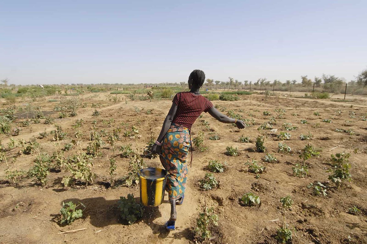 benchmag237's tweet photo. Developing countries across the world especially Cameroon are demanding that compensation for damage caused by global warming be high on the agenda of the UN World Climate Conference COP27.#COP27 #Cameroon https://t.co/FrnvzPwj2L
