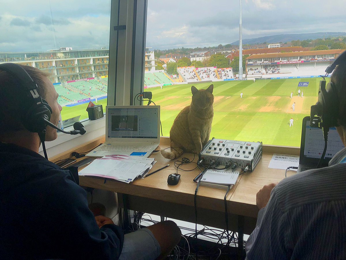 Delighted to make my commentary debut on the Somerset live stream 🐈

#WeAreSomerset