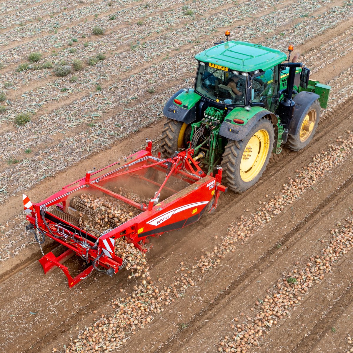 Did you know that the <a href="/GRIMMEGroup/">GRIMME</a> WV Windrower is also available with a rear conveyor? This option is ideal for two into one side discharge &amp; for conventional placement directly behind the machine. 

#GRIMME #GRIMMEUK #GRIMMEGroup #Onions #harvest22