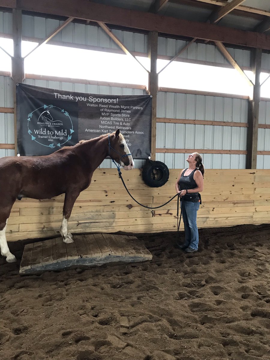 Meet Cappy: 12-15yo Mustang gelding who deserves a forever home! <a href="/RealitysChance/">Reality's Chance</a> will be LIVE Saturday <a href="/1pm/">໊</a> Tune in &amp; meet Cappy &amp; other available for adoption/sponsor/foster Vote #teamcappyandkristine on Reality’s fb page!