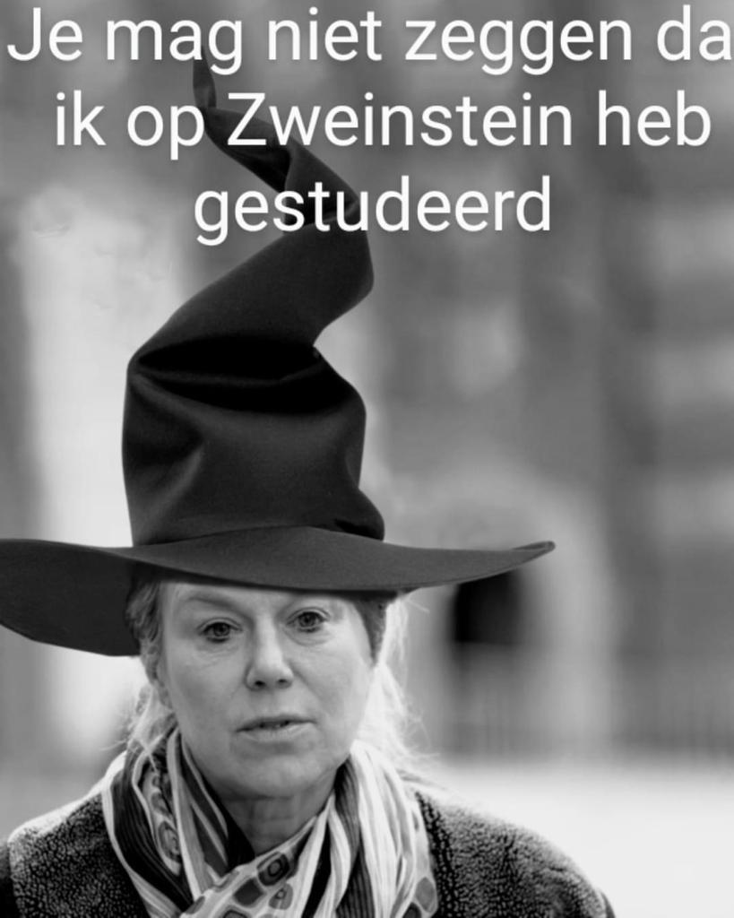 MeijertjeTanja's tweet photo. #Kaag #kutkaag #kaagmoetweg #APB2022 #hekskaag #zweinstein
@SigridKaag @Minister_FIN
@D66 @RobJetten #wegmetditkabinet https://t.co/Y2S8NFEwor