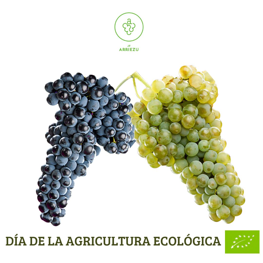 En #JFArriezu confiamos en lo que hacemos y seguimos apostando por la producción
ecológica, por eso nos nos sumamos a la celebración del Día de la #AgriculturaEcológica🍇 de la #UE#OrganicEU!
#viticulturaecológica #producciónsostenible♻️#cuidamosnuestratierra #vinosJFArriezu.