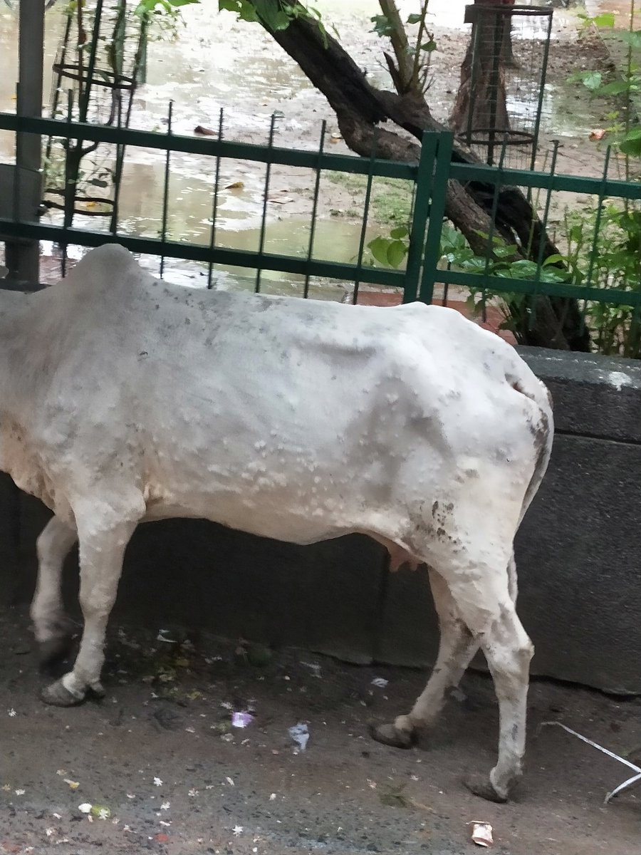 Prannath tweet media