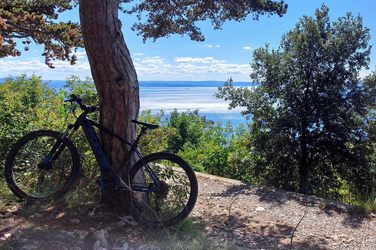 La bellezza a portata di bici ☺️ Il sentiero della Salvia da Aurisina a Santa Croce è una vera meraviglia 🤩 e si può percorrere sia a piedi che in bici ;) 📸 @MauSbogar