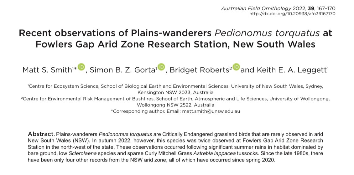 Bridget Roberts (@hasta_lerista) on Twitter photo Cryptic bird noticer @M_smithii led <a href="/GortaBirds/">Simon Gorta</a> and myself straight to a Plains-wanderer. At Fowlers Gap they’d not been seen for decades, and Matt found them more than once. Read about it! Cryptic bird noticer @M_smithii led <a href="/GortaBirds/">Simon Gorta</a> and myself straight to a Plains-wanderer. At Fowlers Gap they’d not been seen for decades, and Matt found them more than once. Read about it!