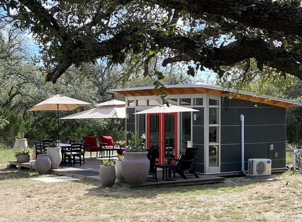 Texas Wine Lover tweet media