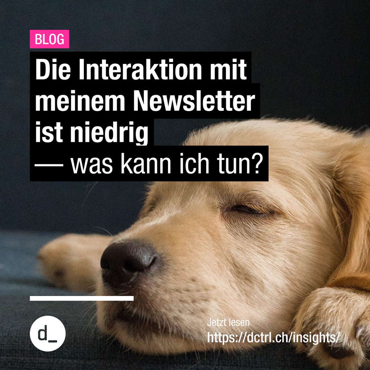 dctrl - studio for creative technology tweet media