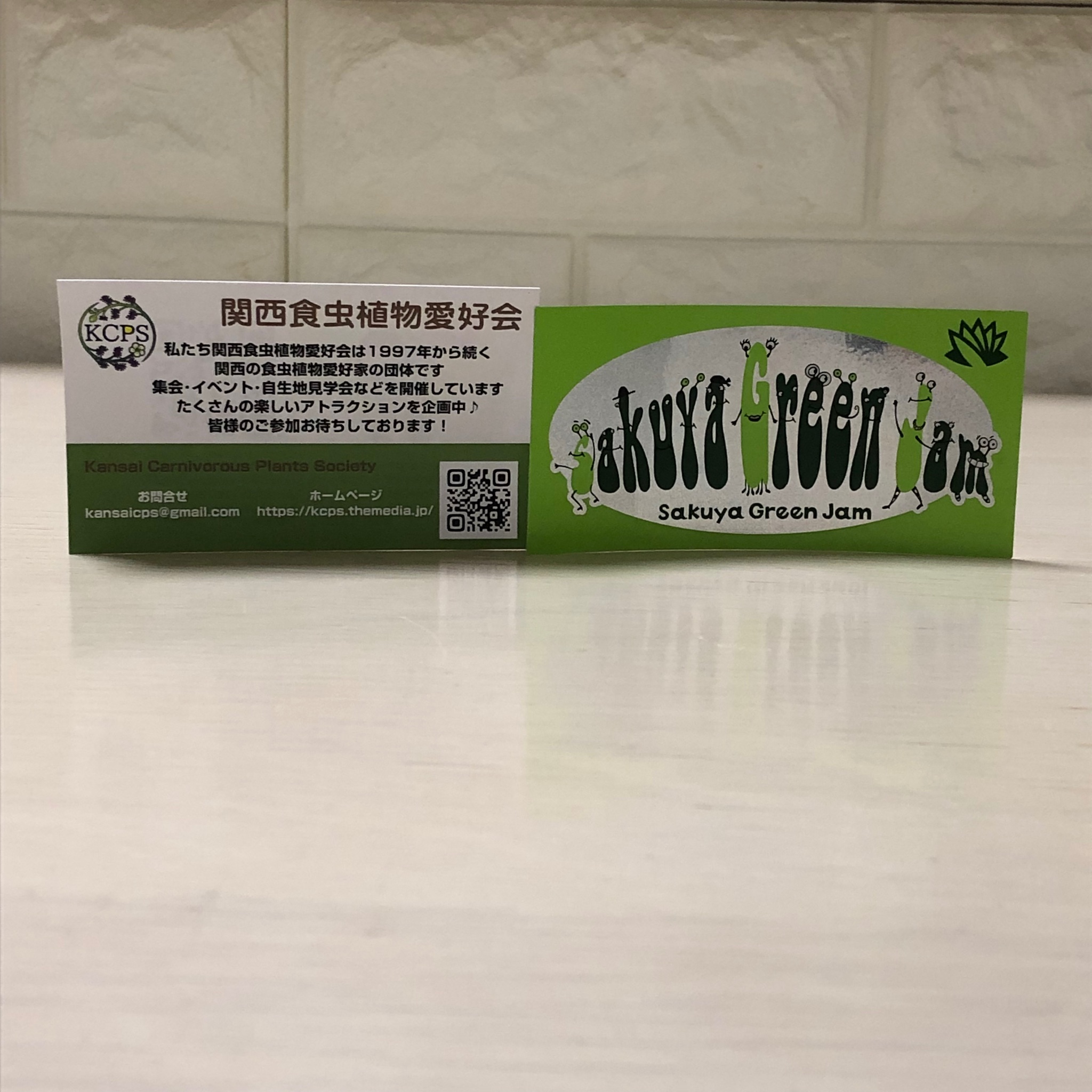 関西食虫植物愛好会 Twitter Search Twitter