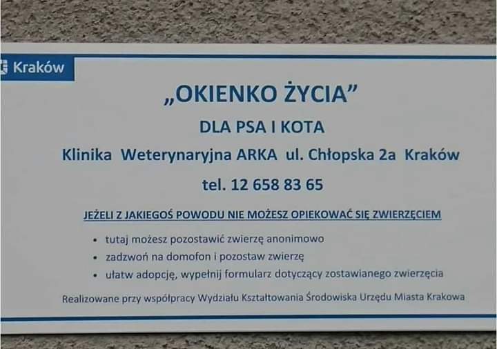 HotSummerCherry's tweet image. Ludzie z Krakowa, ważne info dla was. Zakończmy pozostawianie zwierząt w lasach, skazanych na umieranie w cierpieniach, warto skorzystać z okienka życia 🥰 prosze o rt, aby trafilo to do jak najwiekszej ilosci ludzi