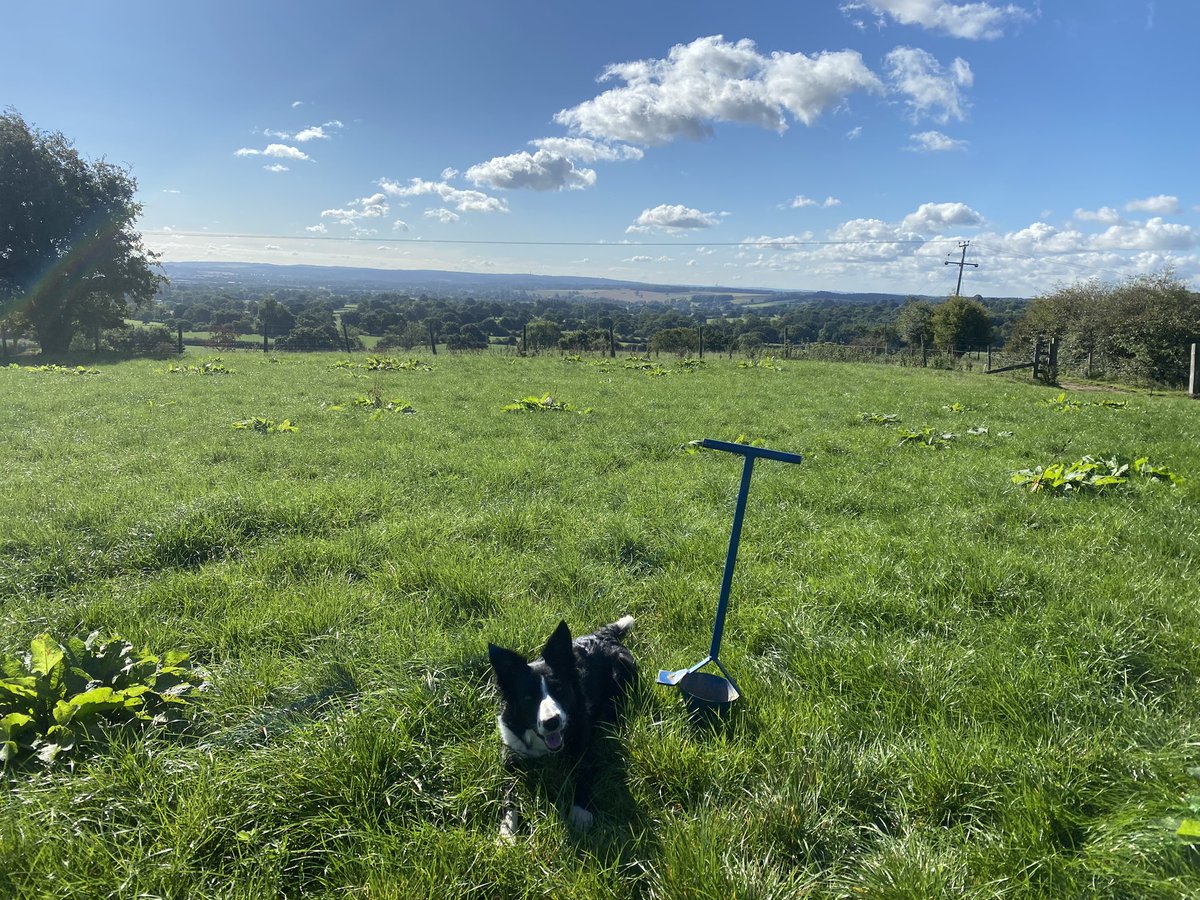 Worse places to be soil sampling to finish off the week!