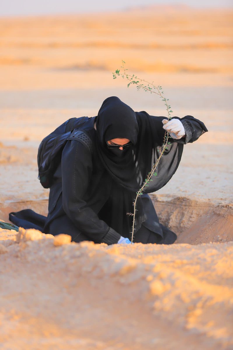 GREEN_H_L's tweet photo. احتفاءً بـ #اليوم_الوطني_السعودي_92
تقيم الجمعية 
مبادرة وطننا يستحق العطاء
لتشجير متنزه أم الشقوق في #رغبة
⁦@ncvcksa https://t.co/KYeG3JoDb6