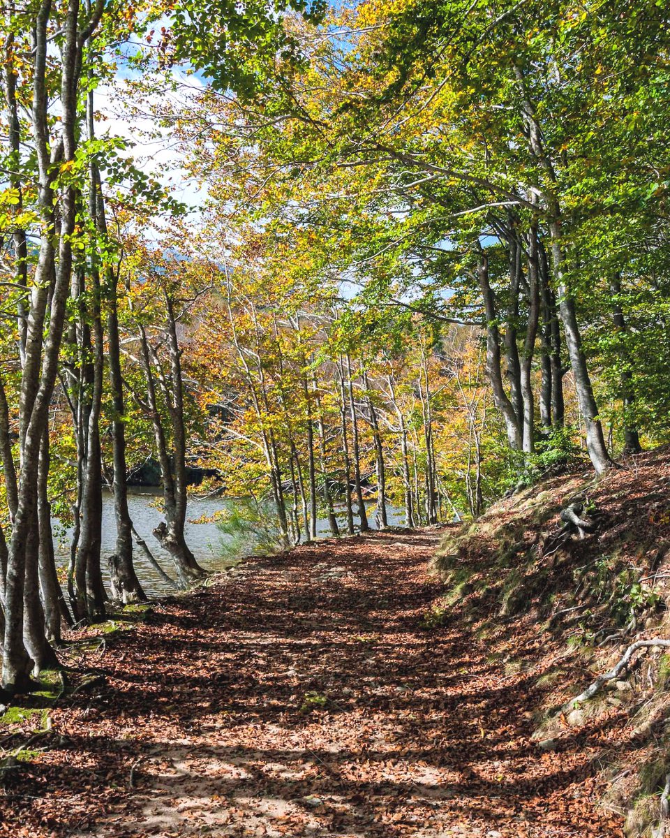 Hotel Augusta Valles tweet media