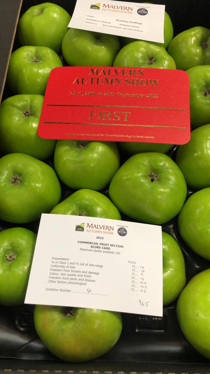 InstoneCourt's tweet photo. Sneaked a win @MalvernShows . If you are going, call by our stand. Next to @ledburyrealales ,try some beer with our hops in. https://t.co/DDh5wLv96S