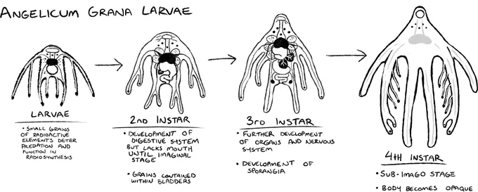 angel development concept 