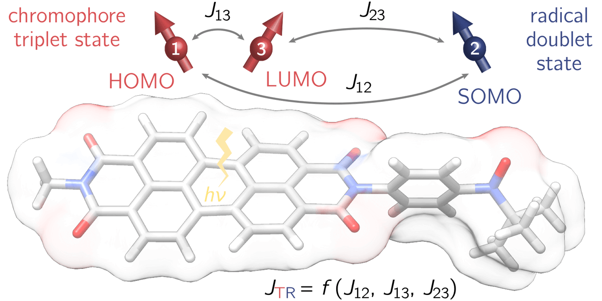 sabine_richert's tweet image. Very happy to see this one out in @ChemicalScience. We present a reliable method for the calculation of exchange couplings in the electronically excited state of molecular three-spin systems. pubs.rsc.org/en/content/art…