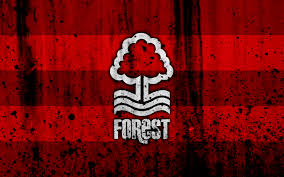 Jobs4football's tweet photo. Job Opportunity🚨
Association: Nottm Forest
Position: Head of Facilities
Visit our site to apply or Link 👇
https://t.co/cn520jXDdN
#football #soccer #j4f #Recruiting #Jobs #Vacancy #footballjobs #hiring #recruitment #Nottom #NFFC #nottinghamjobs #Nottingham https://t.co/LwEdWW5mOZ