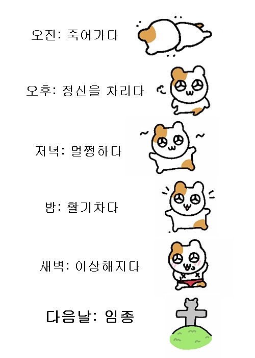 요즘 생활패턴