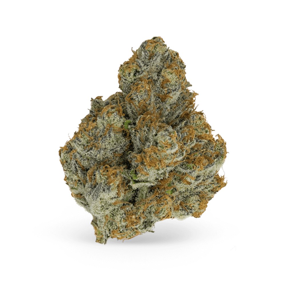 Hempture® tweet media