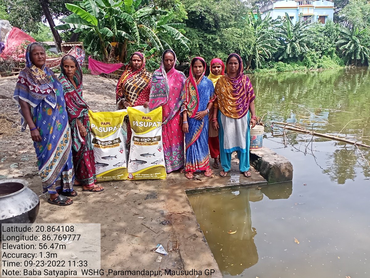 BPMU_Chandbali2's tweet photo. @DPMU_MS_Bhadrak @DM_Bhadrak Fish Farming by Mission Shakti WSHGs  in GP tanks of Mausudha and Motto GPs under Chandabali -ll ICDS project. https://t.co/IZrBMzwMoZ