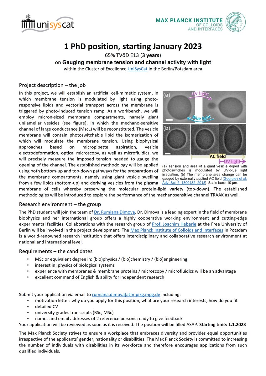 Dimova Lab now at @DimovaLab.bsky.social (@dimovalab) on Twitter photo WANTED: PhD student with (bio)physics/(bio)chemistry/(bio)engineering background to stress membranes & open channels with light <a href="/UniSysCat/">UniSysCat - Cluster of Excellence</a> <a href="/MpiciPotsdam/">Max Planck Institute of Colloids and Interfaces</a> @PotsdamScience
RT = nice
<a href="/ResearchGermany/">Research in Germany - Initiative of the BMFTR</a> <a href="/dfg_public/">DFG public | @dfg_public@wisskomm.social</a> <a href="/DAAD_Germany/">DAAD News</a> <a href="/Chemjobber/">Chemjobber</a> <a href="/Chemjobber/">Chemjobber</a> <a href="/PhDinGermany/">PhD in Germany</a> <a href="/phd_position/">PhDposition</a> WANTED: PhD student with (bio)physics/(bio)chemistry/(bio)engineering background to stress membranes & open channels with light <a href="/UniSysCat/">UniSysCat - Cluster of Excellence</a> <a href="/MpiciPotsdam/">Max Planck Institute of Colloids and Interfaces</a> @PotsdamScience
RT = nice
<a href="/ResearchGermany/">Research in Germany - Initiative of the BMFTR</a> <a href="/dfg_public/">DFG public | @dfg_public@wisskomm.social</a> <a href="/DAAD_Germany/">DAAD News</a> <a href="/Chemjobber/">Chemjobber</a> <a href="/Chemjobber/">Chemjobber</a> <a href="/PhDinGermany/">PhD in Germany</a> <a href="/phd_position/">PhDposition</a>