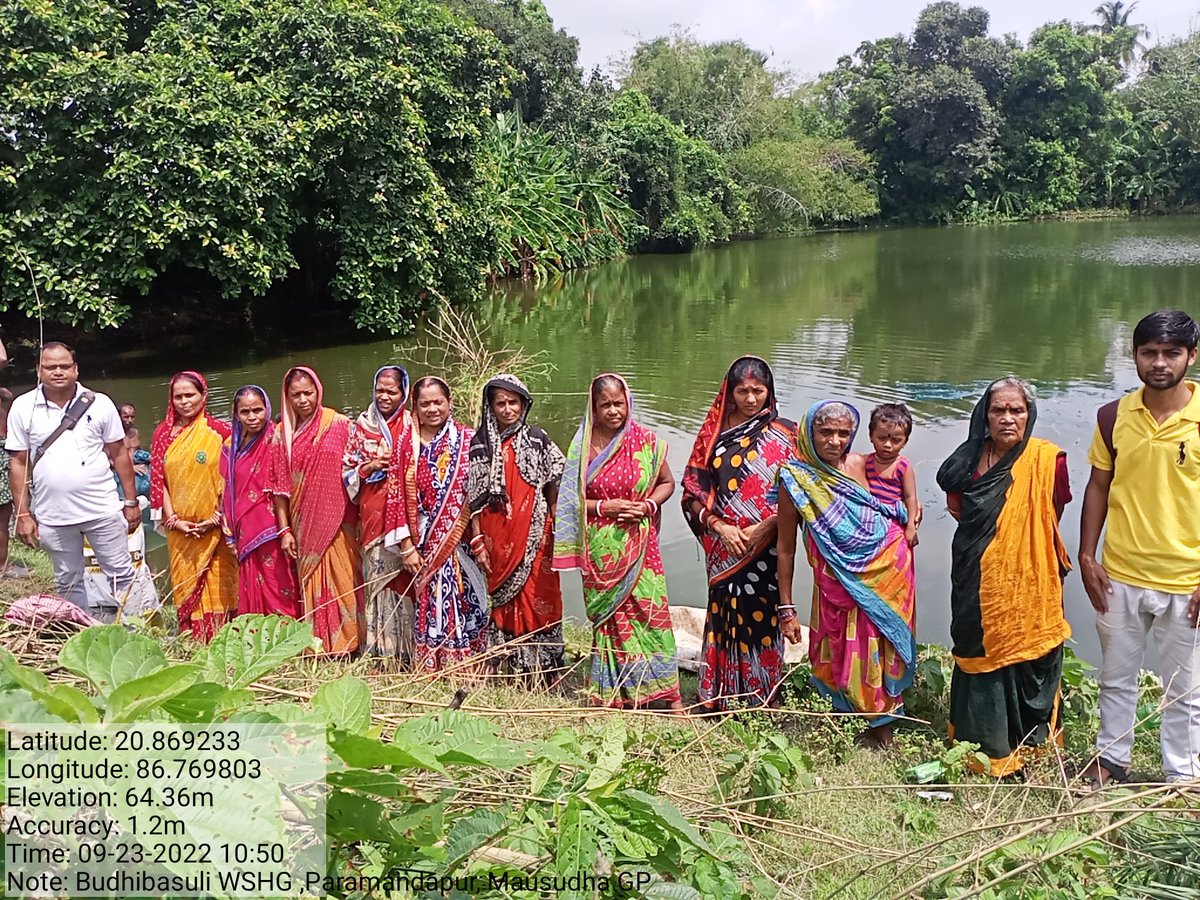 BPMU_Chandbali2's tweet photo. @DPMU_MS_Bhadrak @DM_Bhadrak Fish Farming by Mission Shakti WSHGs  in GP tanks of Mausudha and Motto GPs under Chandabali -ll ICDS project. https://t.co/IZrBMzwMoZ