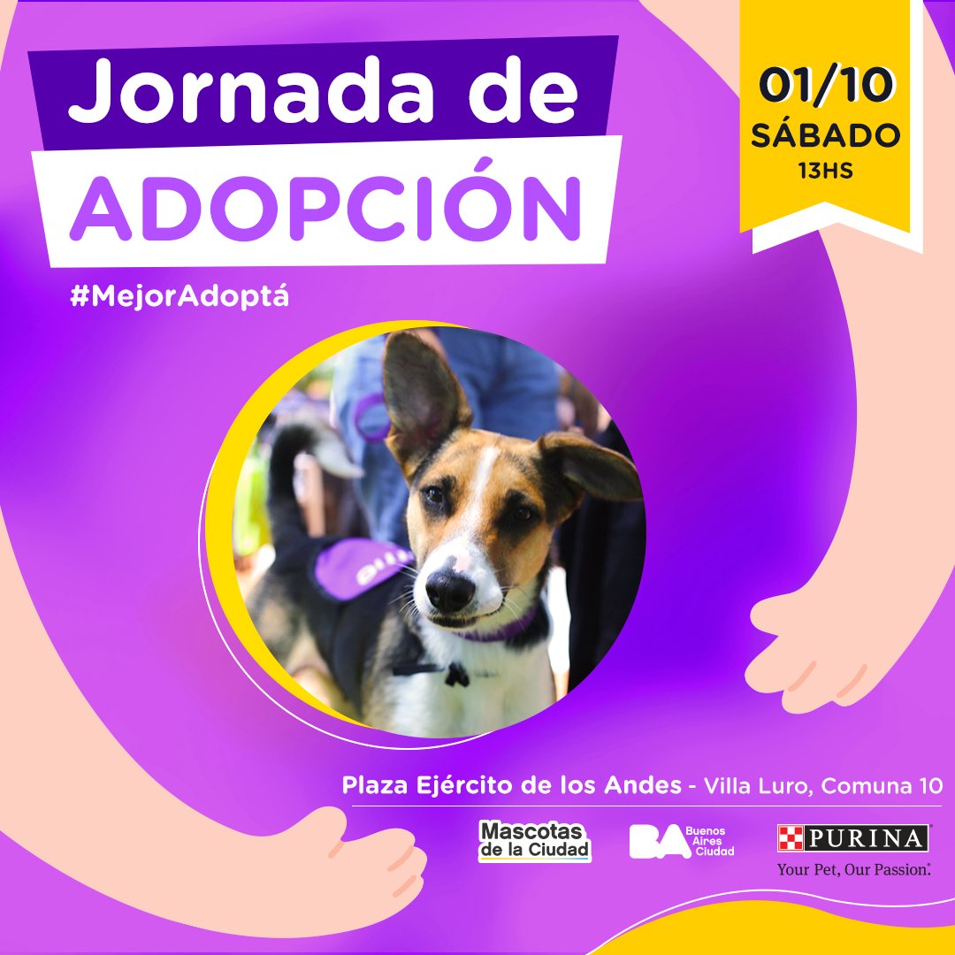 ¡SUMATE A LA JORNADA DE ADOPCIÓN! 💛🏠
¿Te animas a conocer a la mascota que puede cambiar tu vida para siempre? 👇
