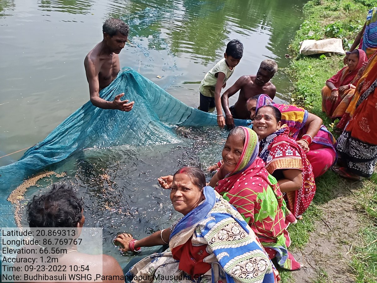 BPMU_Chandbali2's tweet photo. @DPMU_MS_Bhadrak @DM_Bhadrak Fish Farming by Mission Shakti WSHGs  in GP tanks of Mausudha and Motto GPs under Chandabali -ll ICDS project. https://t.co/IZrBMzwMoZ