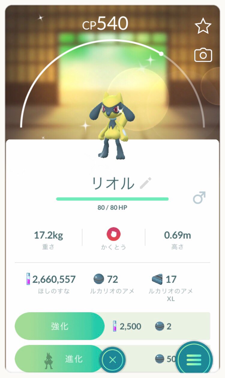 Kicks1010 7 から 珍しくリオルとサンドの色違いが来てくれました リオルの色違いはお初です ポケモンgo リオル色違い サンド色違い T Co Dpp4s7rdau Twitter Kicks1010 7 から 珍しくリオルとサンドの色違いが来てくれました リオルの色違いはお初です ポケモンgo リオル色違い サンド色違い T Co Dpp4s7rdau Twitter
