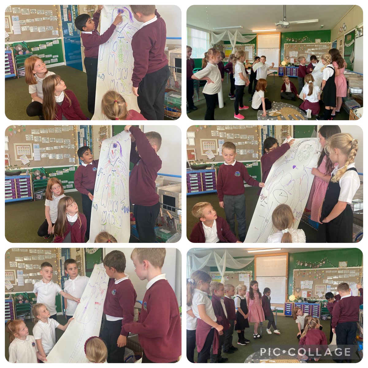 MissGraham_DP's tweet photo. We’ve been working with P3/4 to learn about our bodies. We worked together on some life size body drawings then presented these to each other and yesterday made some moving skeletons! 🩻🫀🫁 @DrakiesPS  #buddywork #bigart #listeningandtalking #finemotorskills #amazingbodies https://t.co/KRljrQjQno