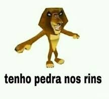 Isadorananet's tweet photo. Bom dia!!! https://t.co/jUPs9Q7hMT