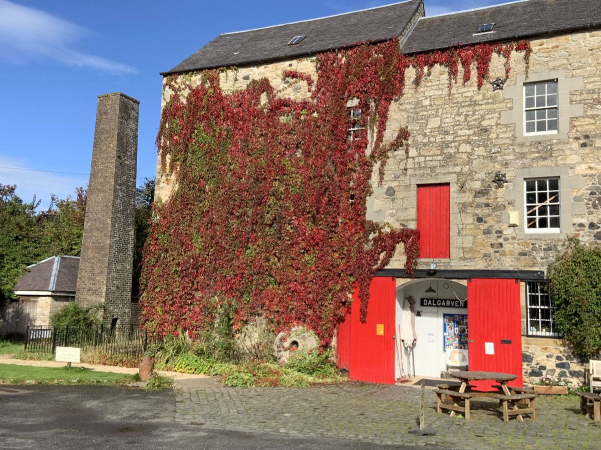 DalgarvenMill's tweet photo. Virginia Creeper or Russian vine?  What do you think?

Either way it is stunning at the moment!

#Ayrshire #TheCoig #Supportlocal #visitayrshire #costumemuseum #homebaking #tearoom #coffeeshop #costumes #cycliststop #museums #russianvine #virginiacreeper https://t.co/Jti3Ur29ME