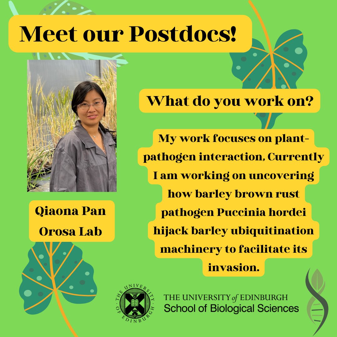 Institute of Molecular Plant Sciences tweet media