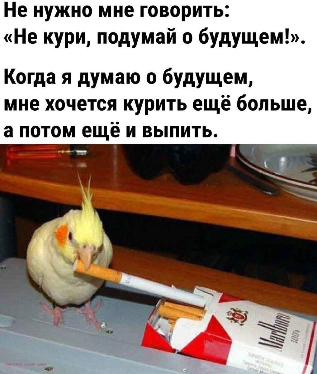 my_wtf_story's tweet photo. https://t.co/huOc6K9FRV