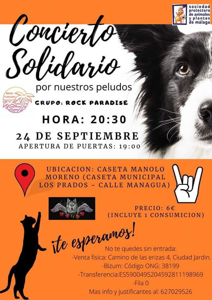 PTV_Malaga's tweet photo. #PlanazosFinde 

🐾💕Pásate mañana a partir de las 20.30🕣 por el #conciertosolidario a favor del @protemalaga

🤘🏻🎶#Rock del bueno, para una excelente causa 

🎟️https://t.co/j8YX3amrxP https://t.co/o8SnKkCtRu