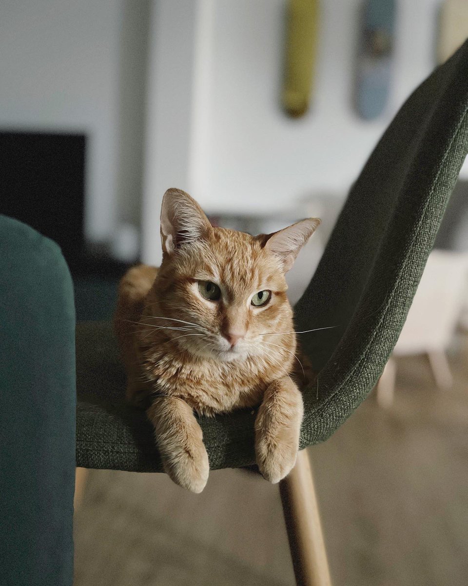 Charli Marie tweet media