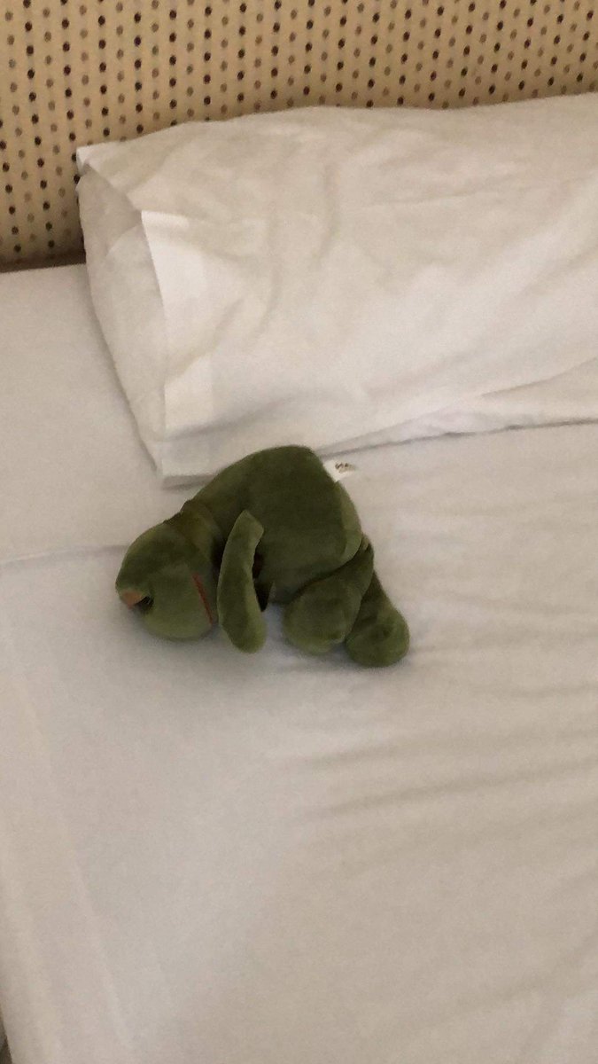 AlfredFrog's tweet photo. All of this travelling has me tuckered out! 
Next stop - ENGLAND https://t.co/iTTfpZ1Beh
