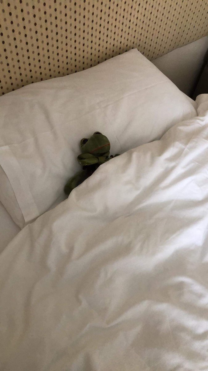 AlfredFrog's tweet photo. All of this travelling has me tuckered out! 
Next stop - ENGLAND https://t.co/iTTfpZ1Beh