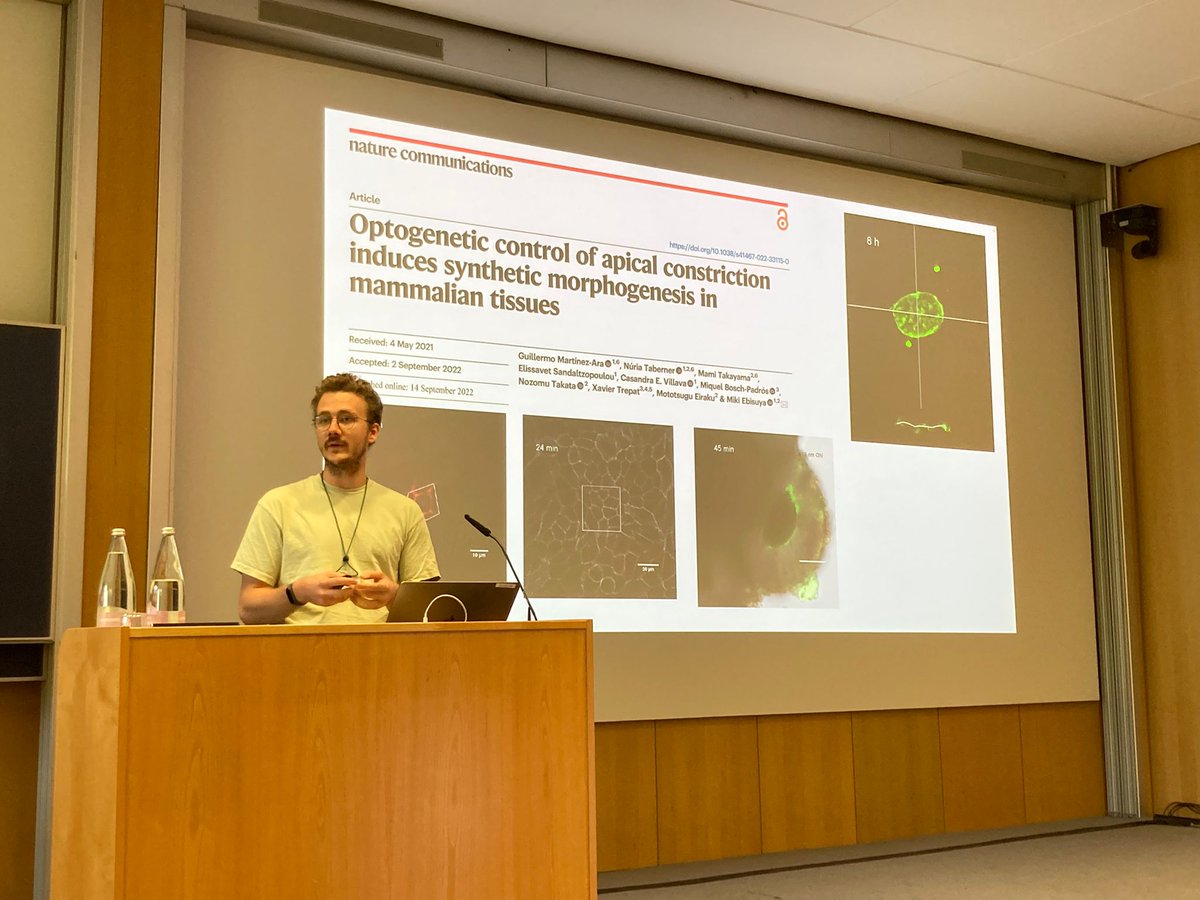 Guillermo Martínez Ara tweet media