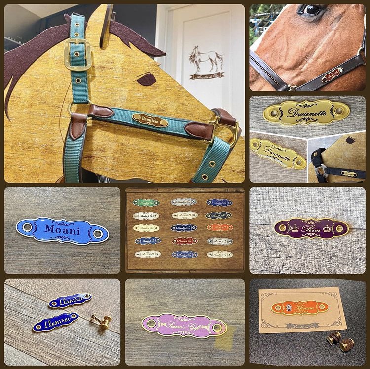 AmuletodeOro's tweet photo. .
出店情報
全日本ジュニア馬場＠御殿場
春にパート2にて馬場馬術の競技会に初参加させていただき、
続きましてジュニアの皆様にも会いにこさせていただきました！☺️

今回は台風の影響もありミシンの稼働は控えさせて頂くのですが
各種オーダー馬具と馬モチーフ雑貨の販売をさせていただきます🐴👜✨ https://t.co/wgxLzYAZMH