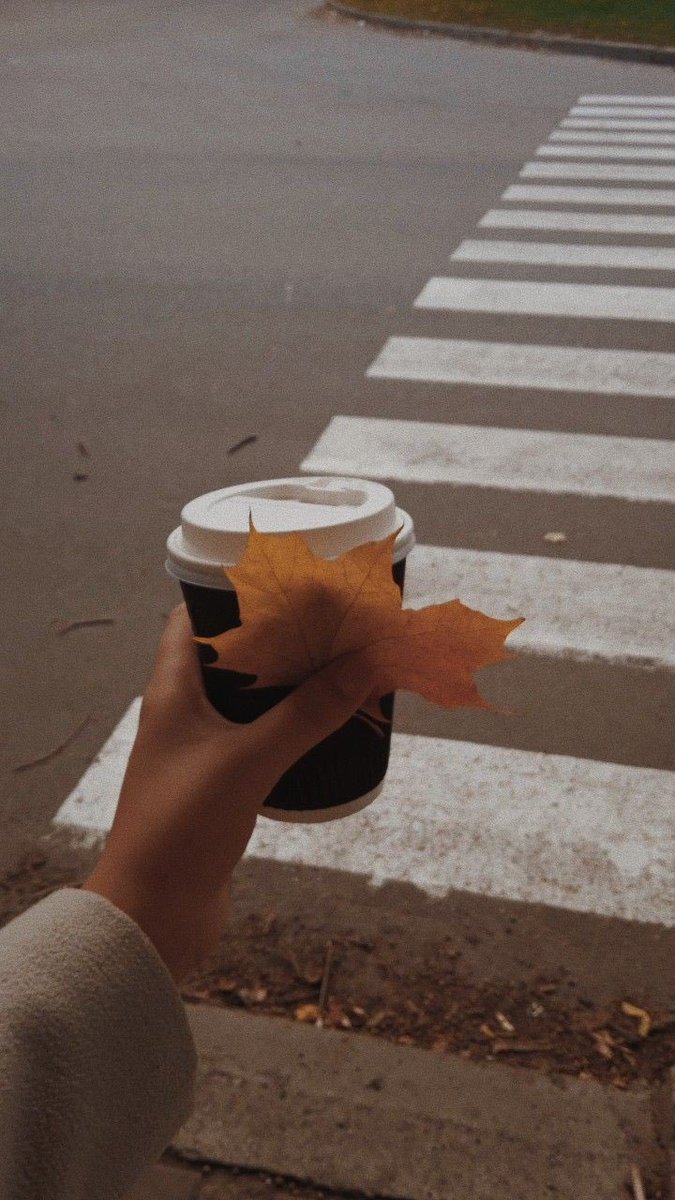 seasonaIvibes's tweet image. happy 1st day of fall 🍁